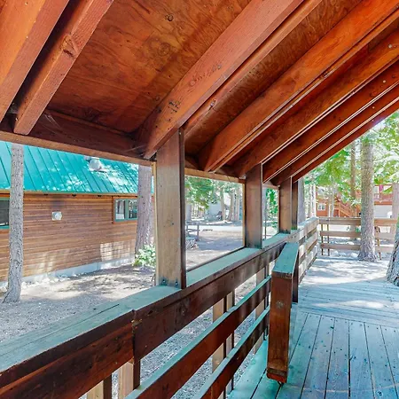 Cabin Oasis